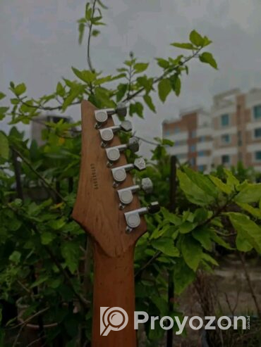 Bass guitar- Alpha X