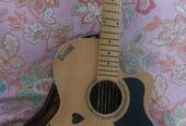 Givson oxford guitar