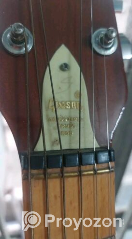 Givson oxford guitar