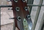 Givson oxford guitar