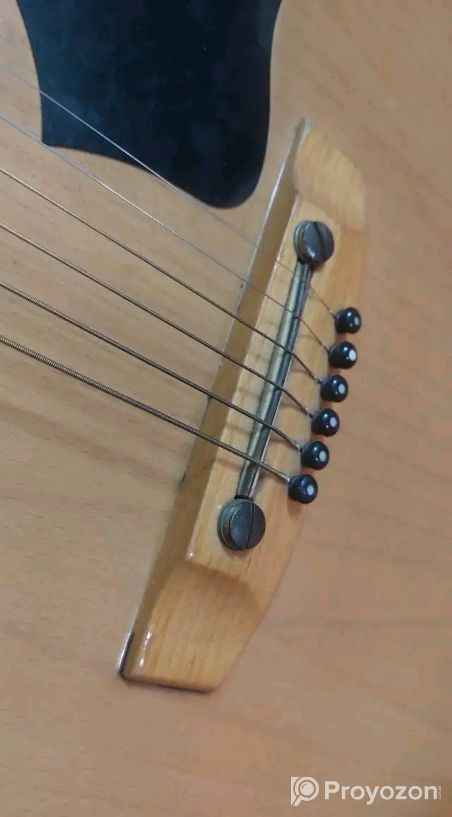 Givson oxford guitar
