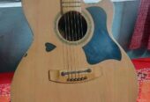 Givson oxford guitar