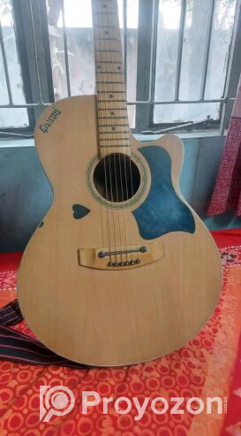 Givson oxford guitar
