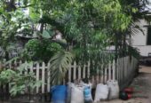 মেয়েদের জন্য ফ্ল্যাটের একটি রুম ভাড়া দেয়া হবে।