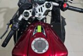 Regal Reptor YCR 250CC Bike 2024 Model.