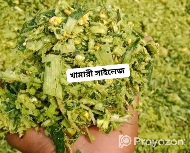 নতুন মৌসুমের নতুন সাইলেজ পাওয়া যাচ্ছে।