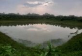 জরুরী ভিত্তিতে জমি বিক্রয় হবে