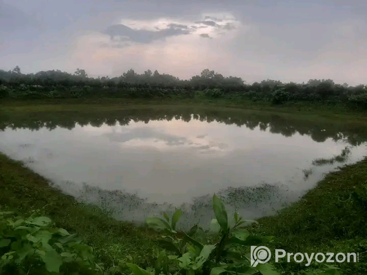 জরুরী ভিত্তিতে জমি বিক্রয় হবে