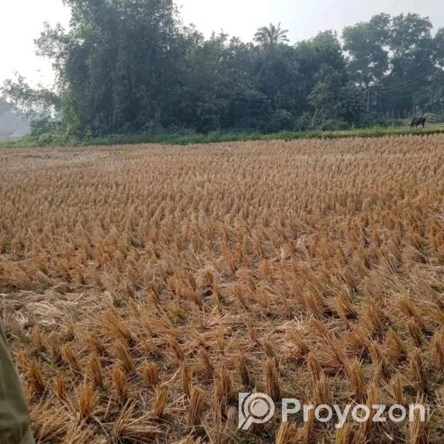 জমি বিক্রয় হবে