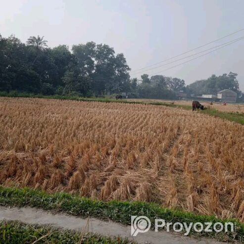 জমি বিক্রয় হবে