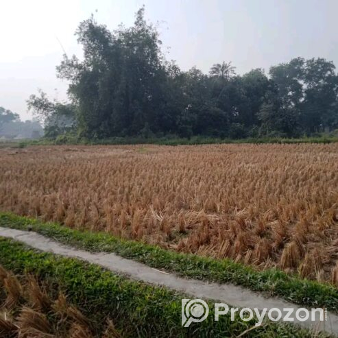 জমি বিক্রয় হবে