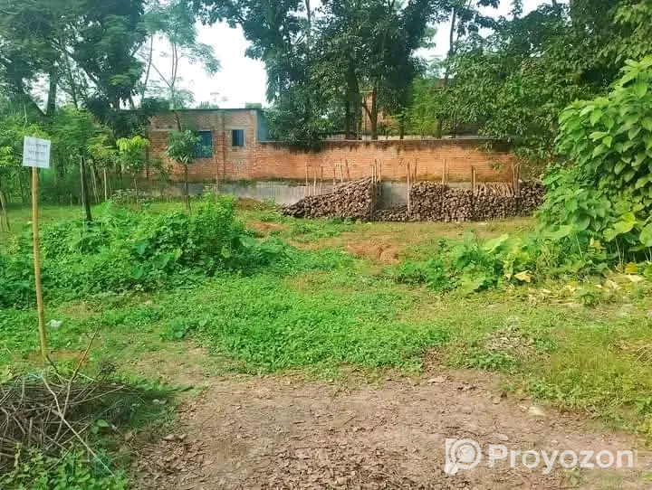 ০২ দুই শতক জায়গা বিক্রয় হইবে পৌরসভায়