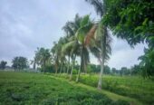 পজেক্ট বিক্রি হবে