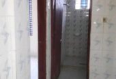 শুধুমাত্র মেয়েদের জন্য ফ্ল্যাটের ভাড়া দেওয়া হবে