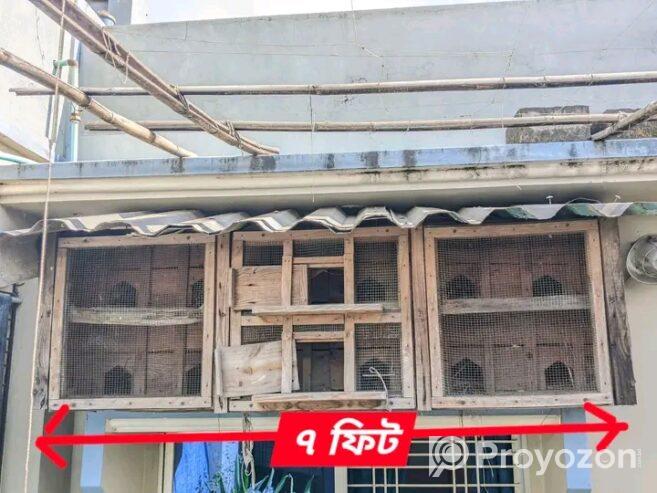 কবুতরের খোপটি বিক্রয় করা হবে।