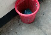 ময়লা রাখা ঝুরি