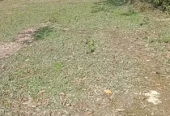 জমি বিক্রি হবে। এখনেই বাড়ি করার উপযোগী।