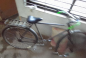 Phoenix Cycle (Used)