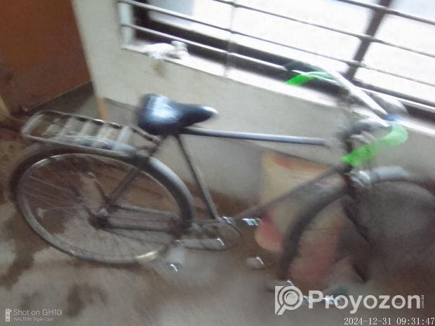 Phoenix Cycle (Used)