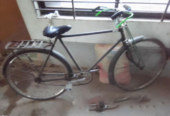 Phoenix Cycle (Used)