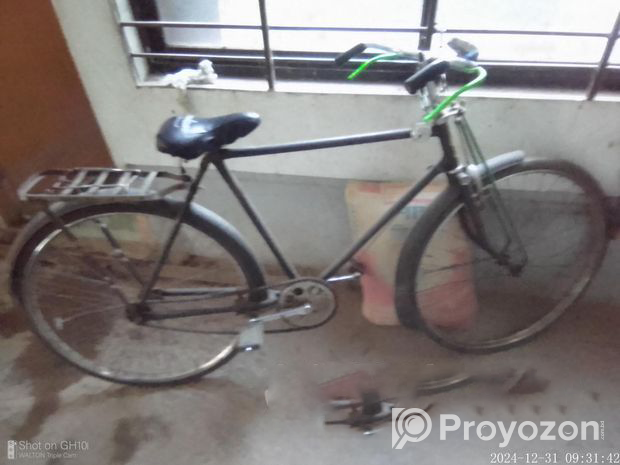 Phoenix Cycle (Used)