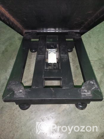 Digital Wing Scale