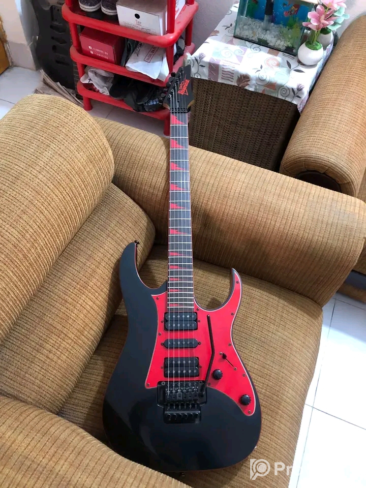 Ibanez GRG250DX Electric Guitar
