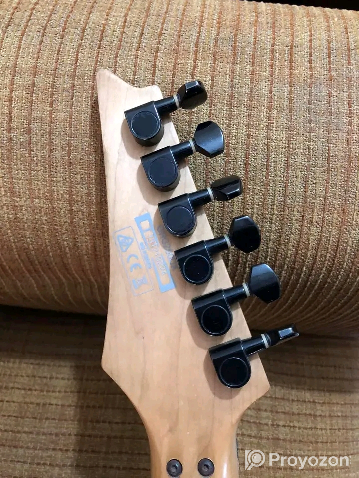 Ibanez GRG250DX Electric Guitar