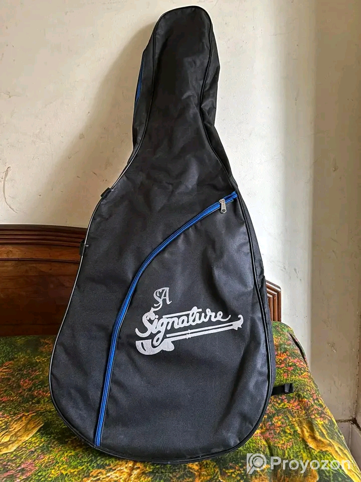 Signature 265 brown glossy guitar