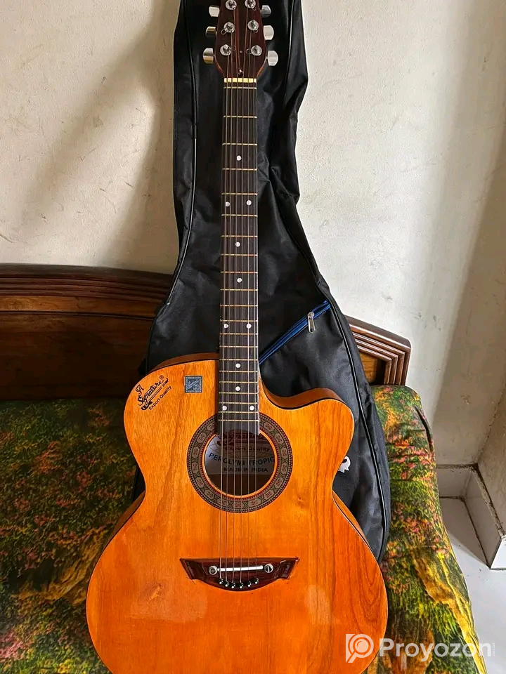 Signature 265 brown glossy guitar