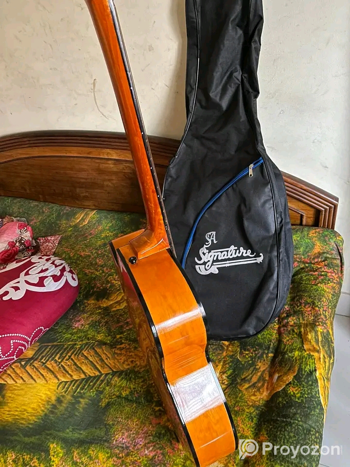 Signature 265 brown glossy guitar