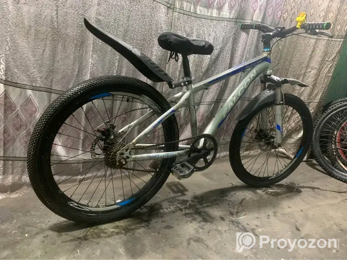 Falcon cycle 24 size