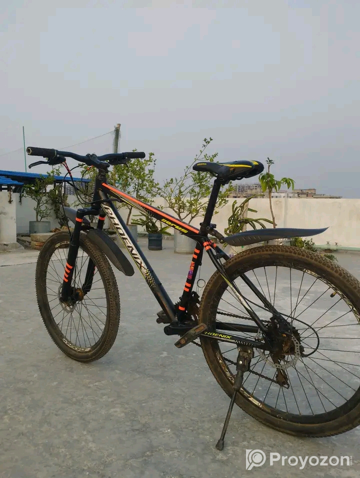 ফনিক্স সাইজ 26 ইঞ্চি