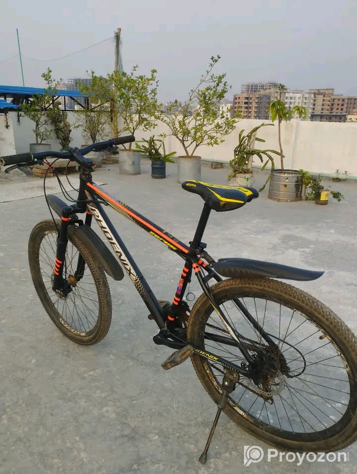 ফনিক্স সাইজ 26 ইঞ্চি