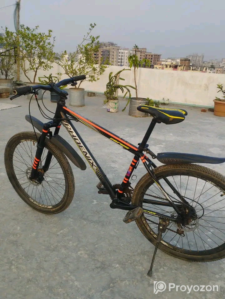 ফনিক্স সাইজ 26 ইঞ্চি