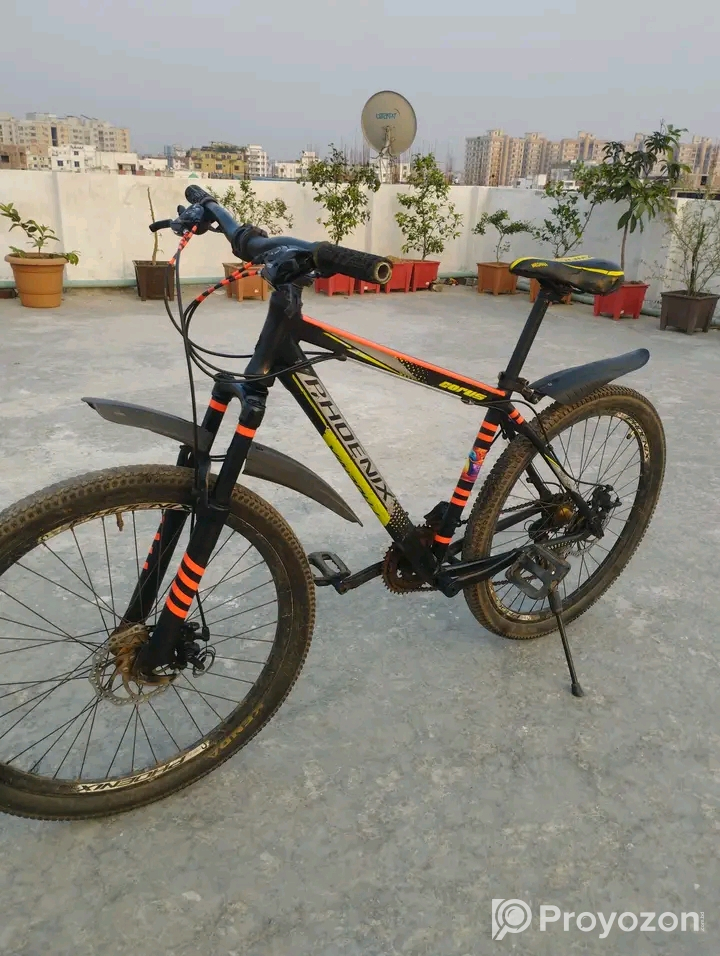 ফনিক্স সাইজ 26 ইঞ্চি