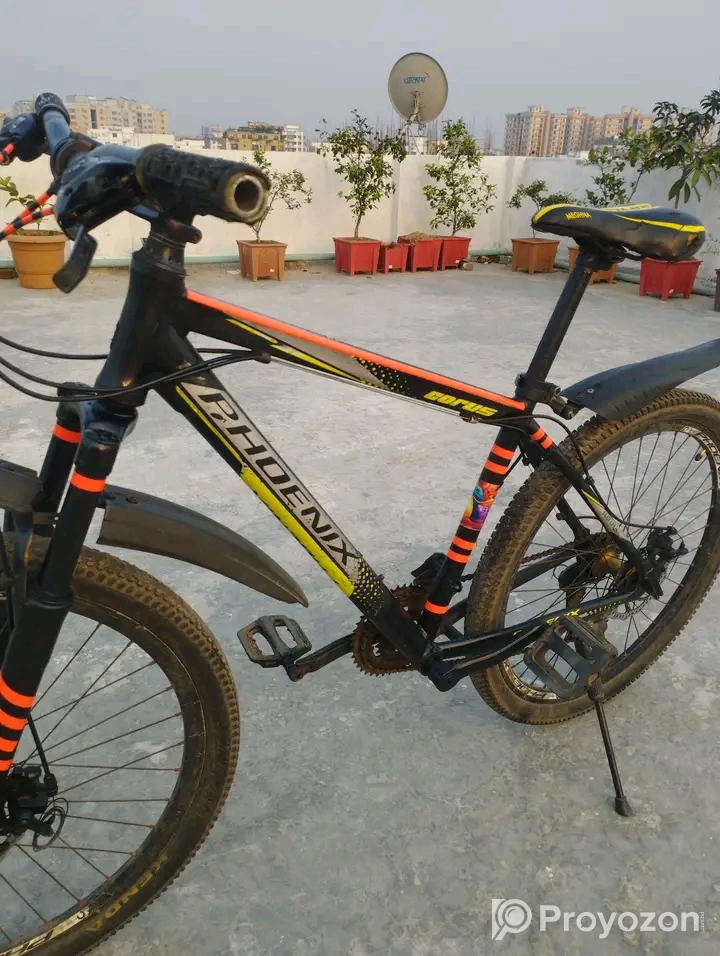 ফনিক্স সাইজ 26 ইঞ্চি