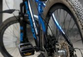 Phoenix harod 02
