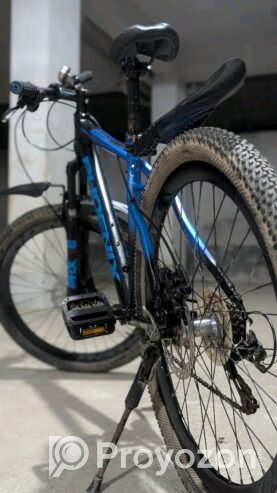 Phoenix harod 02