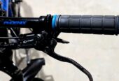 Phoenix harod 02