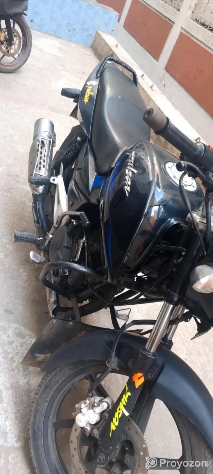 পালছার সিংগেল ডিক্স