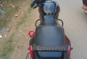 Pulsar SD 2018 model
