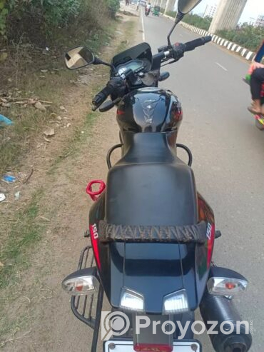 Pulsar SD 2018 model