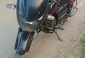 Pulsar SD 2018 model