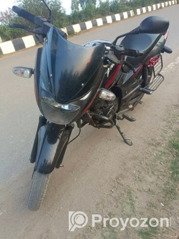Pulsar SD 2018 model
