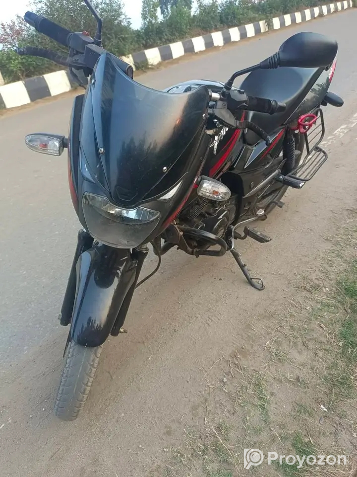 Pulsar SD 2018 model