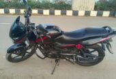 Pulsar SD 2018 model