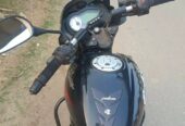 Pulsar SD 2018 model