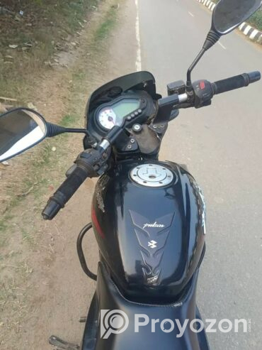 Pulsar SD 2018 model