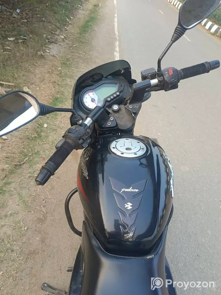 Pulsar SD 2018 model